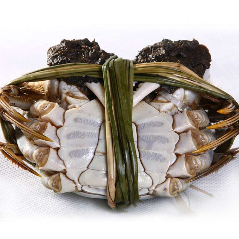 王氏水产阳澄湖大闸蟹全公螃蟹 8只礼盒 3.6两 王氏海鲜水产 【价格 图片 品牌 报价】-苏宁易购