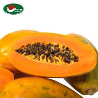 水果网络营销方案]加[Q[Q16485492[代发]发表