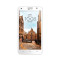 华为手机荣耀3X 畅玩版（G750-T01）（白色）
