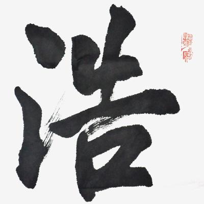 首都公益书画艺术使者邹贵生横幅行楷精品《浩然正气》四尺整张