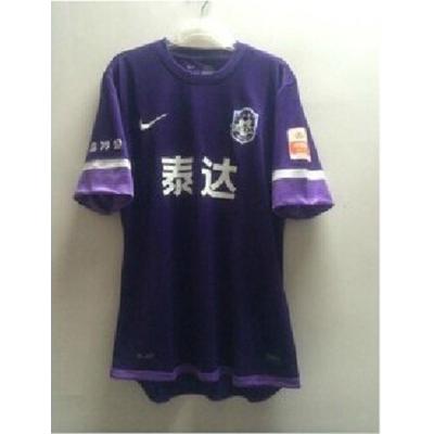 【PPTV聚力体育专营店运动POLO衫】2014天