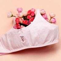 非常姊妹少女文胸 830 纯棉发育期小背心学生