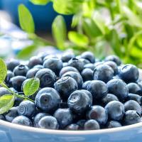 【果煜】蓝莓\/盒装蓝莓 125克