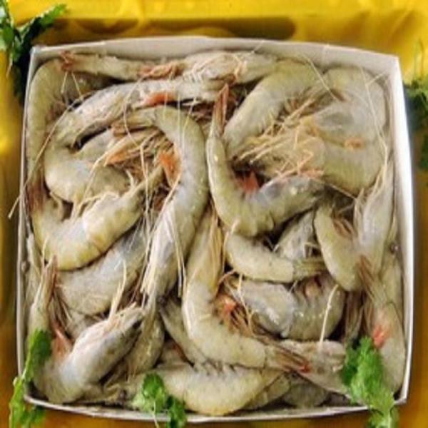 【正泓顺业海鲜水产】沙特白虾40\/50