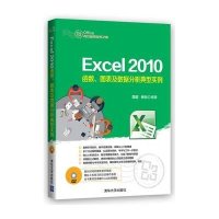 Excel 2010函数、图表及数据分析典型实例(配