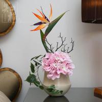 北京农业职业学院第三届兰花展举办德信体育