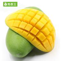 【果郡王】越南小青芒果5斤装 青芒果 新鲜进