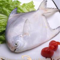 【鲜卫士】野生银鲳鱼家庭优惠装300g