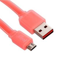 雷摄 LS-D216 Micro USB 双面USB接口透明果