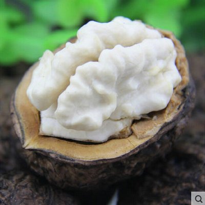 【贡天下特产食品专卖店】【预售】云南新鲜核