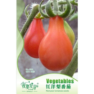 【园艺用品 】我要发芽 蔬果种子 红洋梨番茄种