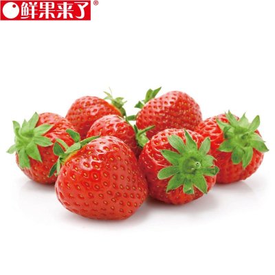 鲜果来了 上海鲜果章姬奶油草莓1000克 当日鲜