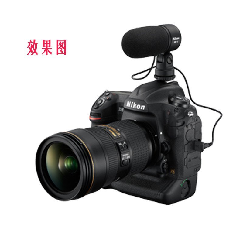῵ 뵥 d5 (cf) 