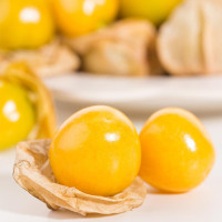 【中华特色馆】吉林市馆 东北黄菇娘果 菇茑1