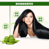 泊泉雅橄榄洗护发套装洗发水发膜组合900g 清爽控油改善受损发质头发护理