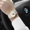 新款瑞士嘉年华Carnival手表全自动机械表 男士进口机芯手表休闲时尚潮流金属精钢防水钻面镂空腕表508G镂空 本色白面
