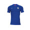 Nike耐克国际米兰17/18赛季T恤衫 867819-463