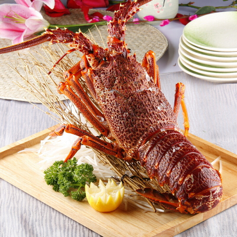 【活鲜】 澳洲鲜活大龙虾 1000g/只 澳龙可做刺身鲜活水产全国配送