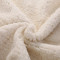 唛乐斯/MALLAS毯子毛毯羊羔绒毛毯 印花双面绒保暖毛毯AB双版设计 流金溢彩 1.5*2.1m