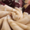 唛乐斯/MALLAS毯子毛毯羊羔绒毛毯 印花双面绒保暖毛毯AB双版设计 相伴一生 1.8*2.2m