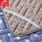 曼凝家纺 水洗棉单双人防滑床垫 薄款绗缝绑带防滑可折叠床褥子 1.2*2.0m 咖啡色