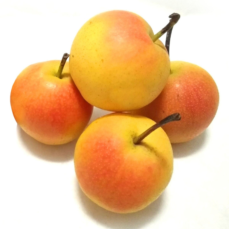  ϹڰɽϹ涫زˮ5װ