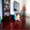 地板健康竹地板平压办公室木板商业纯色厚度贴地卧室艺术咖啡纯色富贵红亮光其它
