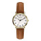 鹏志（PANGCHI）手表 进口2035机芯时尚商务男表 超清大数字钢带女士腕表2511 棕带金壳白面（女款）