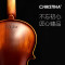Christina克莉丝蒂娜V02小提琴初学者入门手工实木儿童成人专业级乐器 4/4仿古哑光身高155CM以上