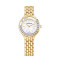 施华洛世奇(Swarovski)手表休闲时尚瑞士品牌钢带腕表 转运珠系列女士镶钻石英手表5261496 5301877.