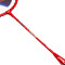 红双喜DHS羽毛球拍家用健身训练对拍1012铝合金羽毛球拍 业余初级标准球拍 1012羽拍/2支装 默认颜色