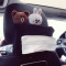 韩国创意汽车椅背遮阳可爱抽纸盒 多功能挂式车用固定车载纸巾盒(e42)_15