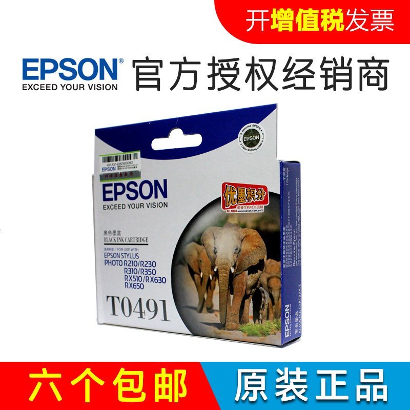 爱普生（EPSON） T0491墨盒 黑色