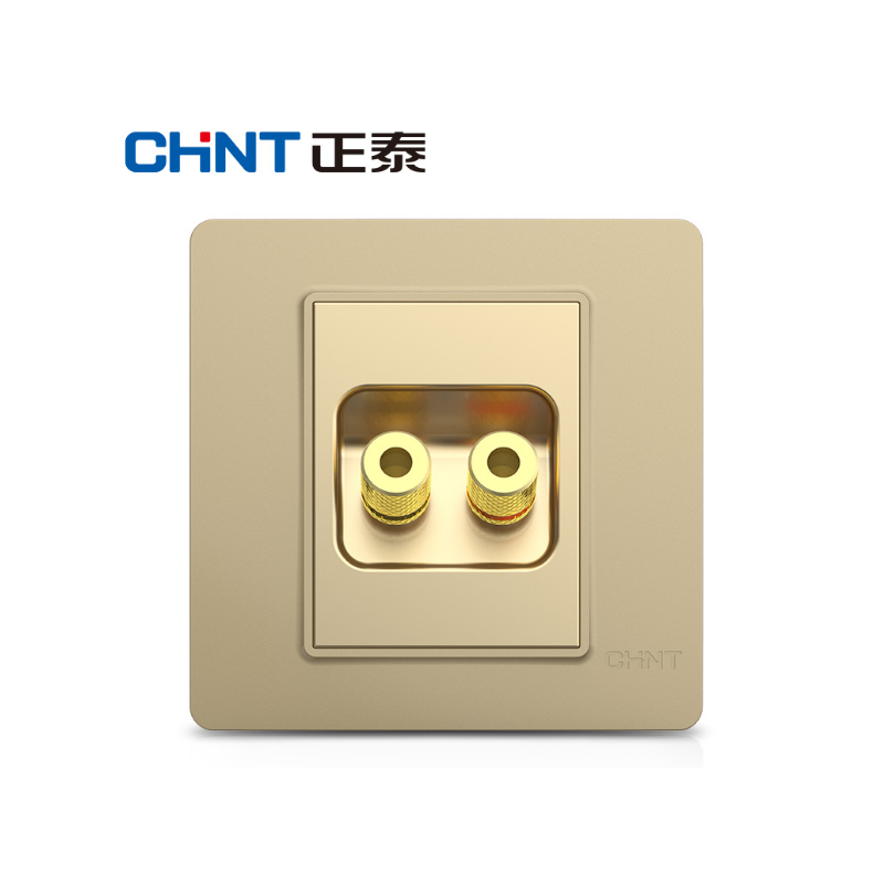 正泰(CHNT) 两孔音响插座 NEW2-C32402 香槟色