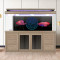 汉霸玩家级金晶超白龙鱼缸水族箱大型客厅玻璃智能生态专业灯架 白橡木 1.5米长x60cm宽x82cm缸高/80cm柜高