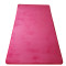 床边小地毯ins网红粉色少女心卧室满铺地垫宝宝爬行垫可定制_980 2×1.4米 紫色