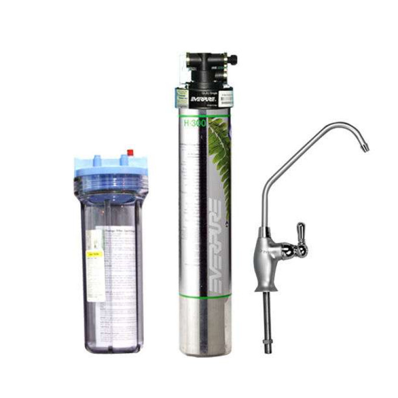 滨特尔爱惠浦净水器H-300图片