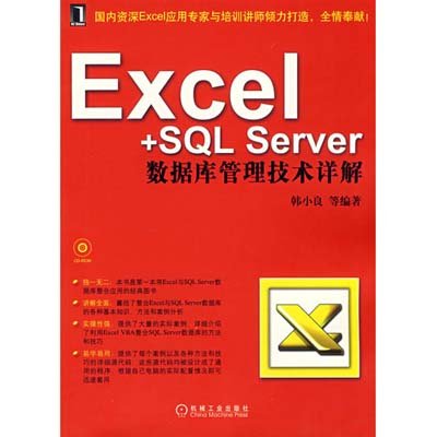《Excel+SQL Server数据库管理技术详解(附光