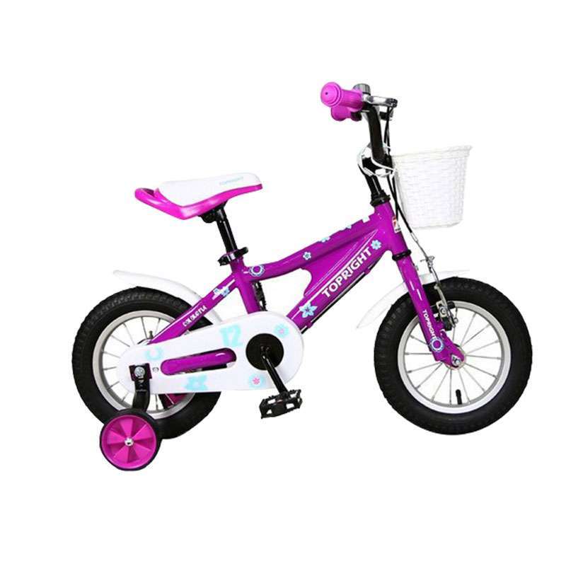 TOPRIGHT途锐达 儿童自行车多彩童年14寸紫