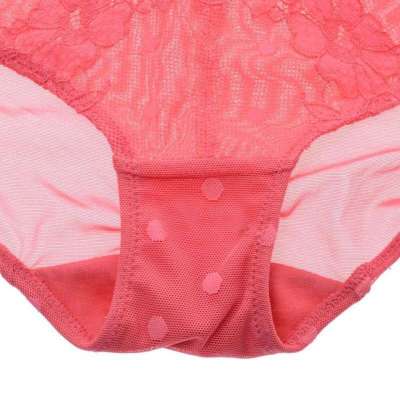 专柜正品 香港体会女<em>内裤 情缘</em>系列花边 撞色网