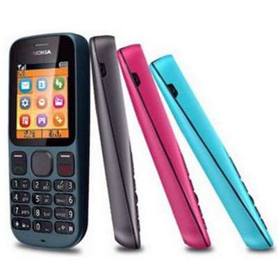诺基亚(NOKIA) 手机 N1000 GSM 老人手机 幽