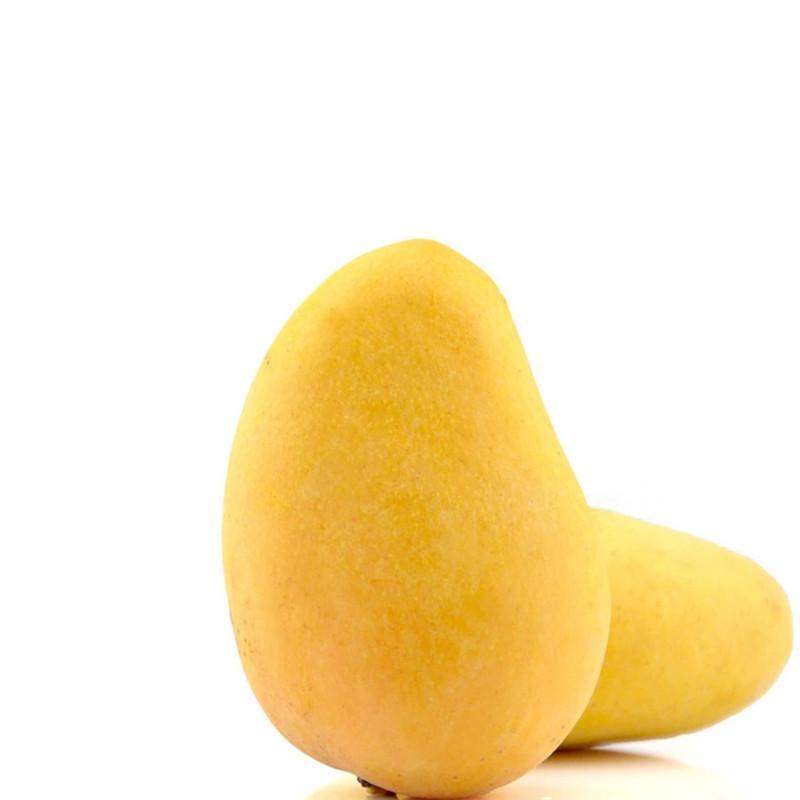 【真信橙】台农小芒果