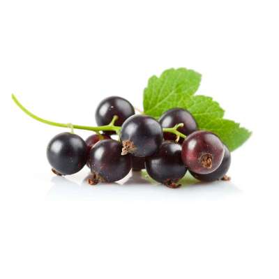 中国有机绿色食品 进口水果 美国黑伽仑 500g