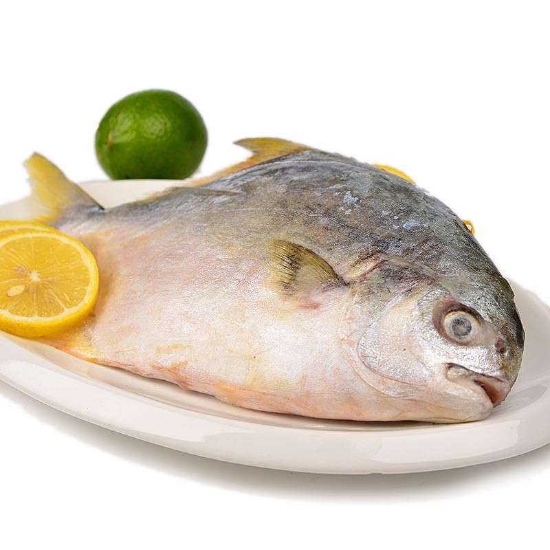 úƷ ̬