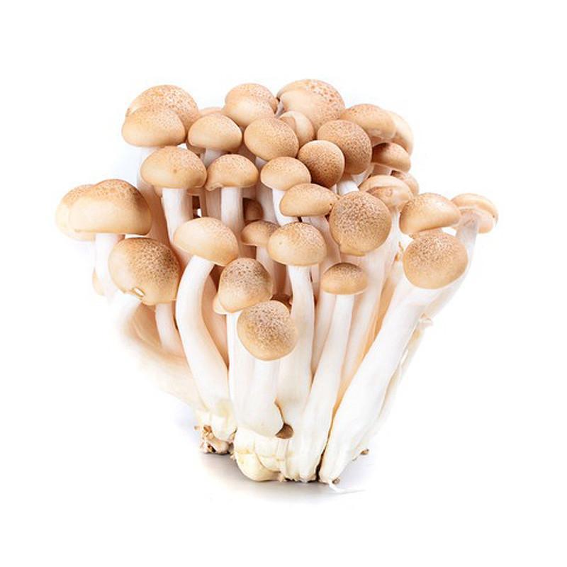 菇品世家 古田食用菌 真姬菇干货 蟹味菇 营养美味 150g