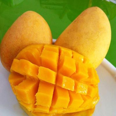 【沪澄】广西百色芒果 田东香芒 台农芒果 新鲜
