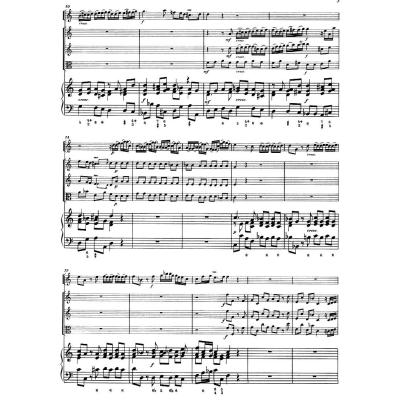 亚历山德罗 马尔切洛d小调协奏曲:为双簧管、