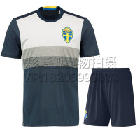 欧洲杯美洲杯光板足球服男团队比赛服短袖定制