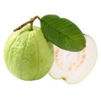 广西新鲜芭乐果珍珠番石榴拔子低糖果白心【专卖店、旗舰店、报价大全】-苏宁易购开放平台