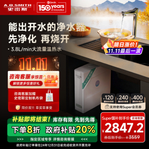 史密斯加热净水器佳尼特100℃真开水大流量 多档控温TDS数显 800G家用直饮冷热一体热饮机CAR800-FA1升级款